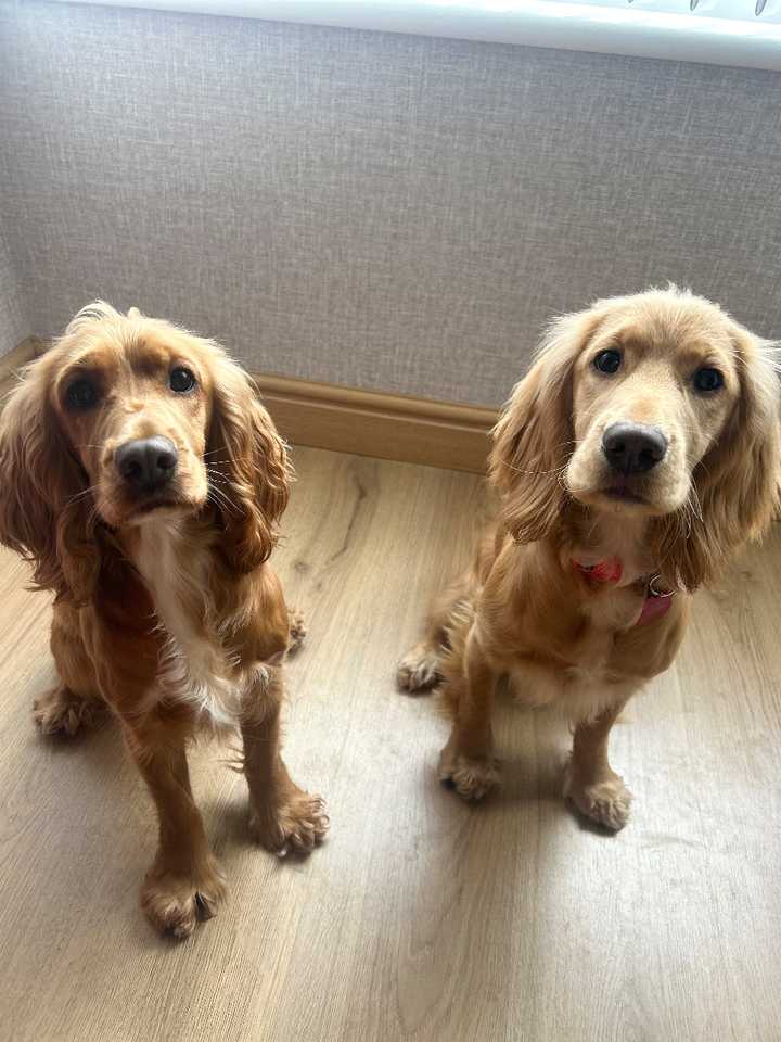 Bonnie & Lily
