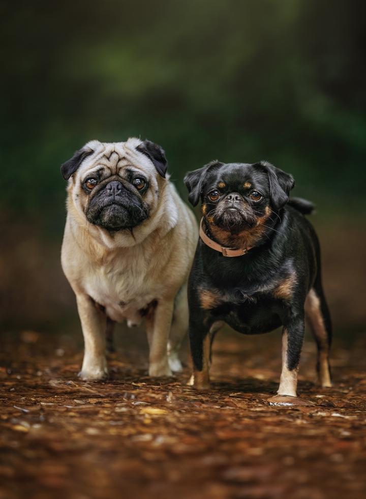 Reggie & Frankie