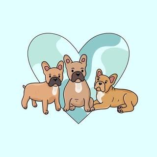 Fawn Frenchie Family
