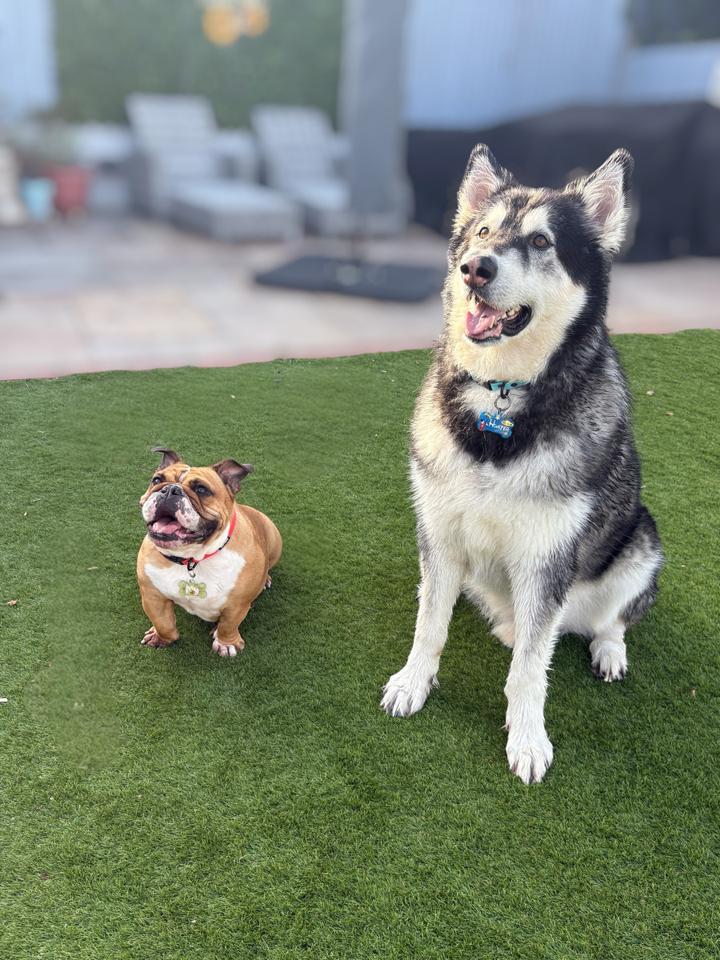 💛Hunter & Ivy💚