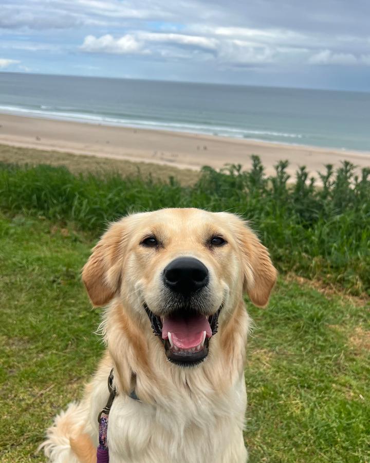 Frida The Golden Girl