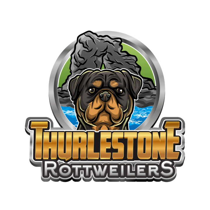 Thurlestone Rottweilers